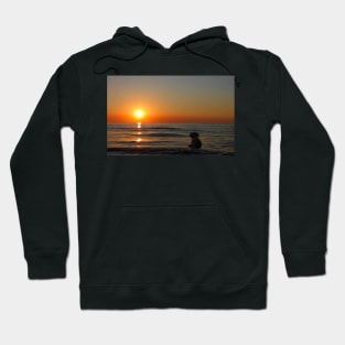 Sun worship Hoodie